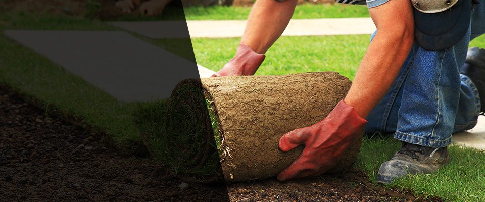 West Chicago Landscapers